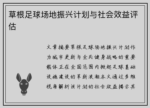 草根足球场地振兴计划与社会效益评估
