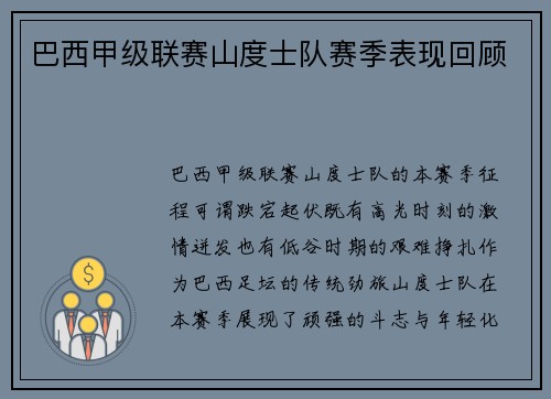 巴西甲级联赛山度士队赛季表现回顾