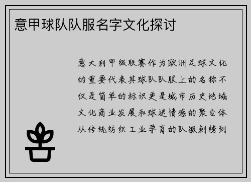 意甲球队队服名字文化探讨